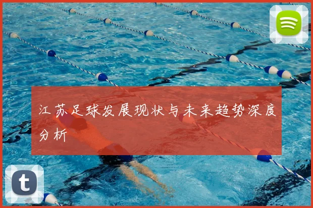 江苏足球发展现状与未来趋势深度分析