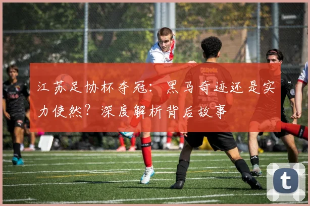 江苏足协杯夺冠：黑马奇迹还是实力使然？深度解析背后故事