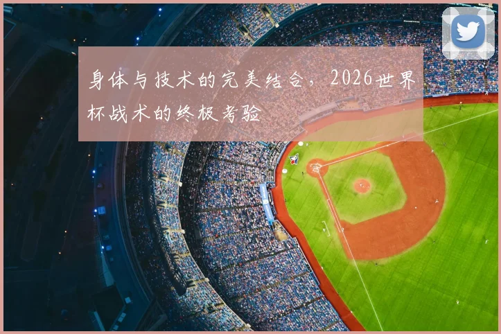 身体与技术的完美结合，2026世界杯战术的终极考验